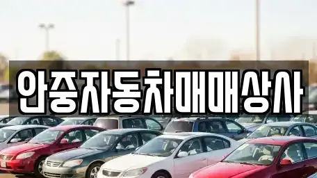 경기도 평택시 포승읍 중고차매매,단기렌트카,중고차매입,장기렌트카,중고차,렌트카