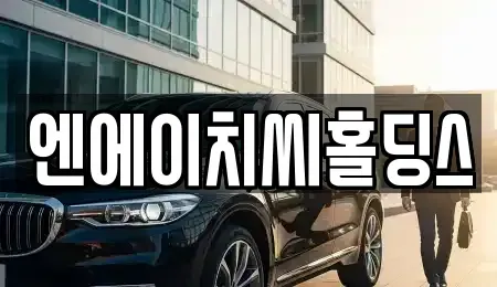 경기도 평택시 포승읍 중고차매매 전문 엔에이치씨홀딩스