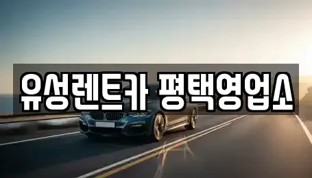 경기도 평택시 합정동 렌트카 전문 유성렌트카 평택영업소