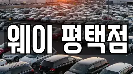 경기도 평택시 합정동 장기렌트카 전문 웨이 평택점