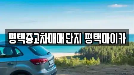 경기도 평택시 합정동 중고차 전문 평택중고차매매단지 평택마이카