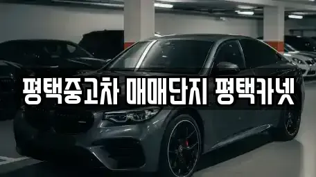 경기도 평택시 합정동 중고차매매 전문 평택중고차 매매단지 평택카넷