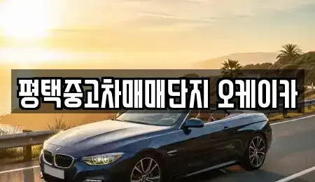 경기도 평택시 합정동 중고차매매 전문 평택중고차매매단지 오케이카
