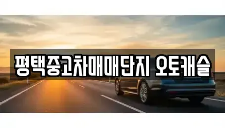 경기도 평택시 합정동 중고차매매 전문 평택중고차매매단지 오토캐슬