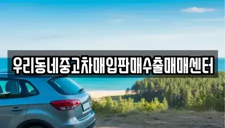 경기도 평택시 합정동 중고차매입 전문 우리동네중고차매입판매수출매매센터