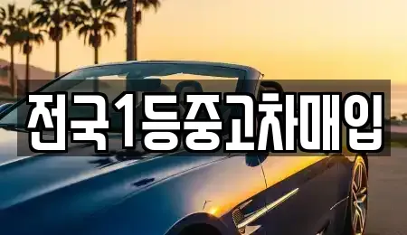 경기도 평택시 합정동 중고차매입 전문 전국1등중고차매입