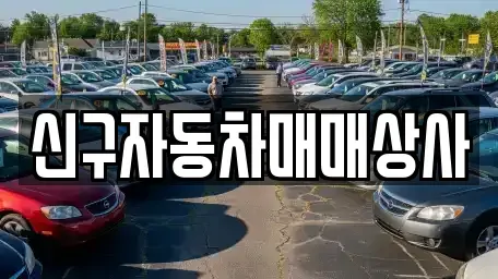 경남 거제시 사등면 중고차 전문 신구자동차매매상사