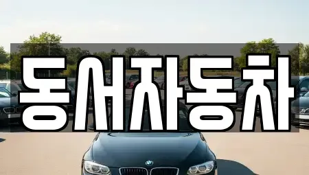 경남 밀양시 활성동 중고차 전문 동서자동차