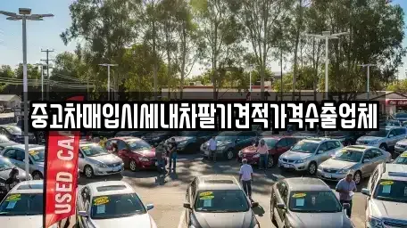 경남 밀양시 활성동 중고차 전문 중고차매입시세내차팔기견적가격수출업체