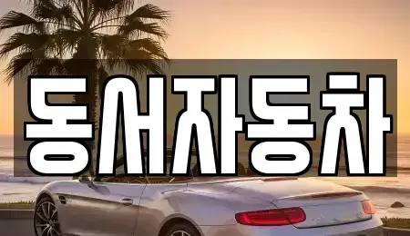 경남 사천시 실안동 중고차 전문 동서자동차