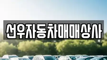 경남 사천시 실안동 중고차 전문 선우자동차매매상사