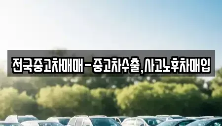경남 사천시 실안동 중고차매입 전문 전국중고차매매-중고차수출,사고노후차매입