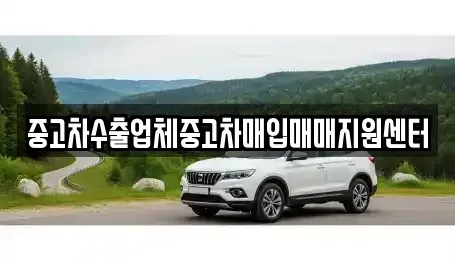 경남 사천시 중고차매입 전문 중고차수출업체중고차매입매매지원센터