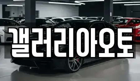 경남 진주시 집현면 중고차 전문 갤러리아오토