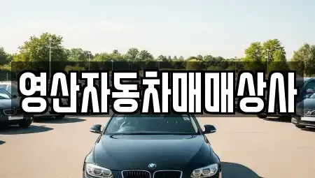 경남 창녕군 중고차매매,단기렌트카,중고차매입,장기렌트카,중고차,렌트카