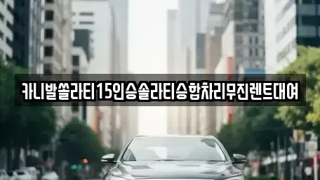경남 창원시 마산합포구 월남동1가 렌트카 전문 카니발쏠라티15인승솔라티승합차리무진렌트대여