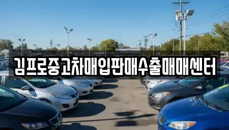 경남 창원시 마산합포구 월남동1가 중고차매입 전문 김프로중고차매입판매수출매매센터