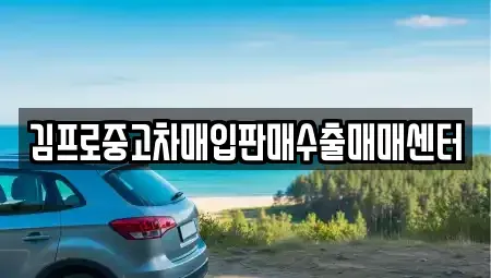 경남 창원시 성산구 가음정동 중고차매입 전문 김프로중고차매입판매수출매매센터