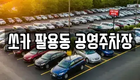 경남 창원시 성산구 덕정동 렌트카 전문 쏘카 팔용동 공영주차장