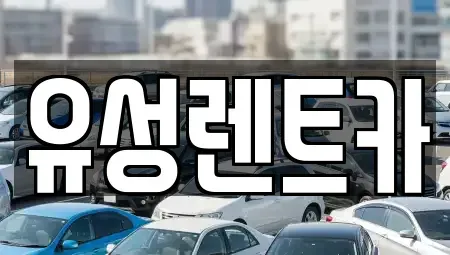 경남 창원시 성산구 웅남동 렌트카 전문 유성렌트카