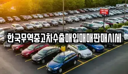 경남 창원시 성산구 웅남동 중고차매입 전문 한국무역중고차수출매입매매판매시세