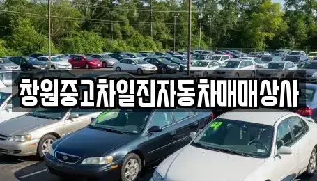 경남 창원시 의창구 동정동 중고차 전문 창원중고차일진자동차매매상사
