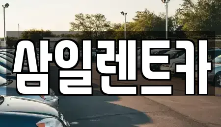 경남 창원시 진해구 가주동 렌트카 전문 삼일렌트카