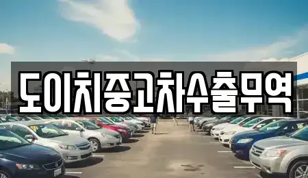 경남 창원시 진해구 가주동 중고차 전문 도이치중고차수출무역
