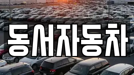 경남 창원시 진해구 가주동 중고차 전문 동서자동차