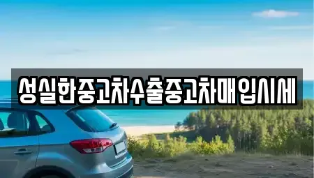 경남 창원시 진해구 가주동 중고차 전문 성실한중고차수출중고차매입시세