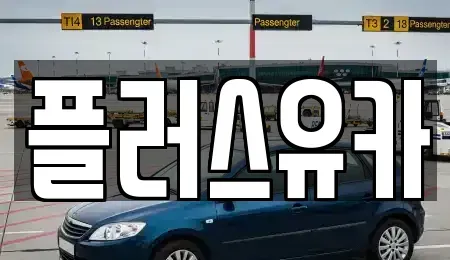 경남 창원시 진해구 가주동 중고차 전문 플러스유카