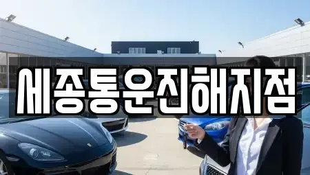 경남 창원시 진해구 이동 렌트카 전문 세종통운진해지점