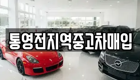 경남 통영시 문화동 중고차매입 전문 통영전지역중고차매입