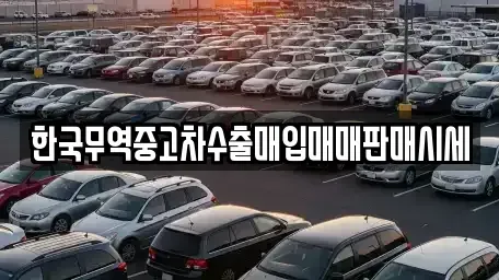 경남 합천군 합천읍 중고차매입 전문 한국무역중고차수출매입매매판매시세