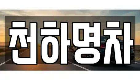 경북 김천시 남면 중고차매입 전문 천하명차