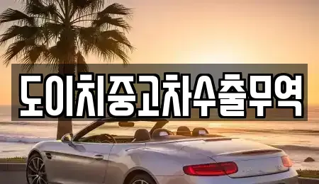 경북 성주군 수륜면 중고차 전문 도이치중고차수출무역