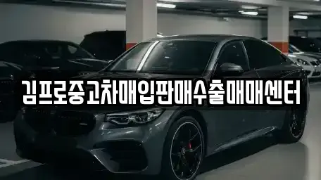 경북 안동시 수상동 중고차 전문 김프로중고차매입판매수출매매센터