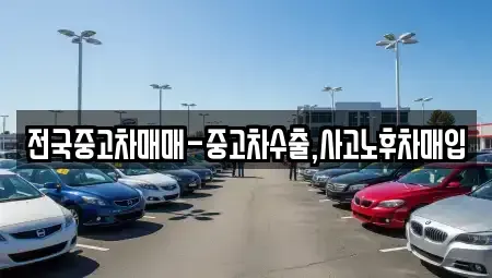 경북 안동시 수상동 중고차매입 전문 전국중고차매매-중고차수출,사고노후차매입