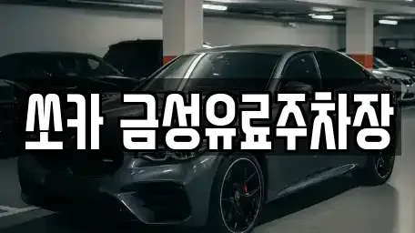 경북 안동시 안막동 렌트카 전문 쏘카 금성유료주차장