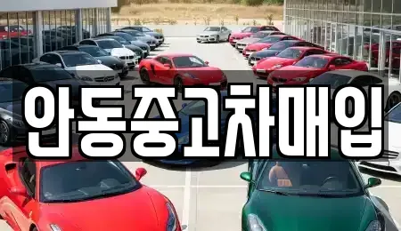 경북 안동시 안막동 중고차 전문 안동중고차매입