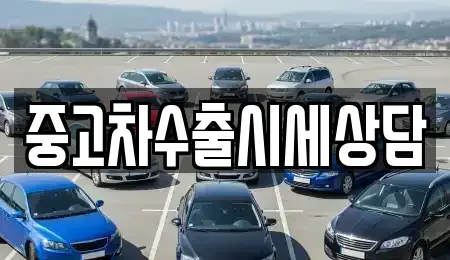 경북 안동시 안막동 중고차 전문 중고차수출시세상담