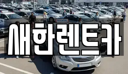 경북 영천시 금노동 렌트카 전문 새한렌트카