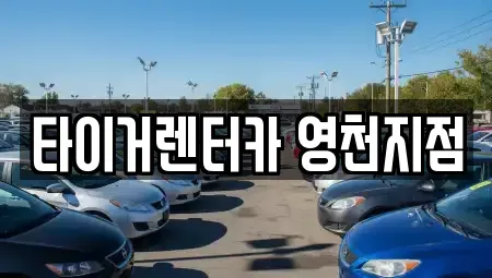 경북 영천시 금노동 렌트카 전문 타이거렌터카 영천지점