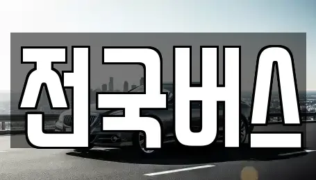 경북 영천시 금노동 중고차 전문 전국버스