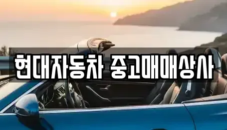 경북 영천시 금노동 장기렌트카,중고차,렌트카,단기렌트카,중고차매입,중고차매매