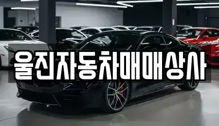 경북 울진군 울진읍 장기렌트카,중고차,렌트카,단기렌트카,중고차매입,중고차매매