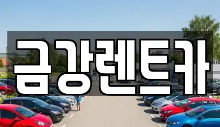 경북 청도군 청도읍 렌트카 전문 금강렌트카