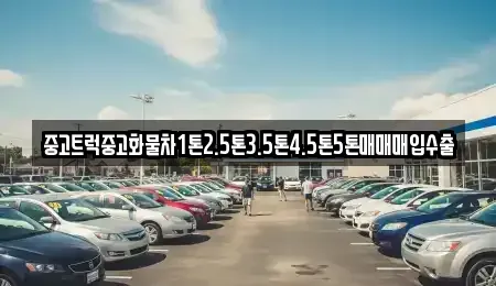 경북 청도군 청도읍 중고차매입 전문 중고트럭중고화물차1톤2.5톤3.5톤4.5톤5톤매매매입수출