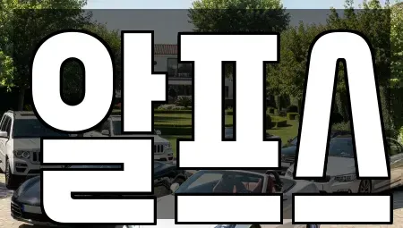 경북 포항시 남구 동해면 렌트카 전문 알프스