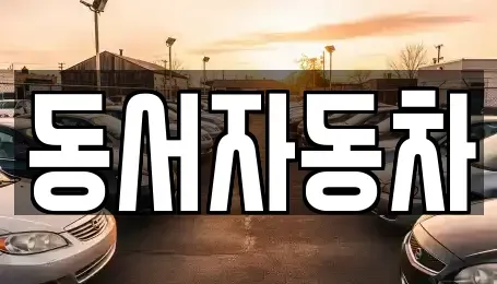 경북 포항시 남구 장기면 중고차 전문 동서자동차